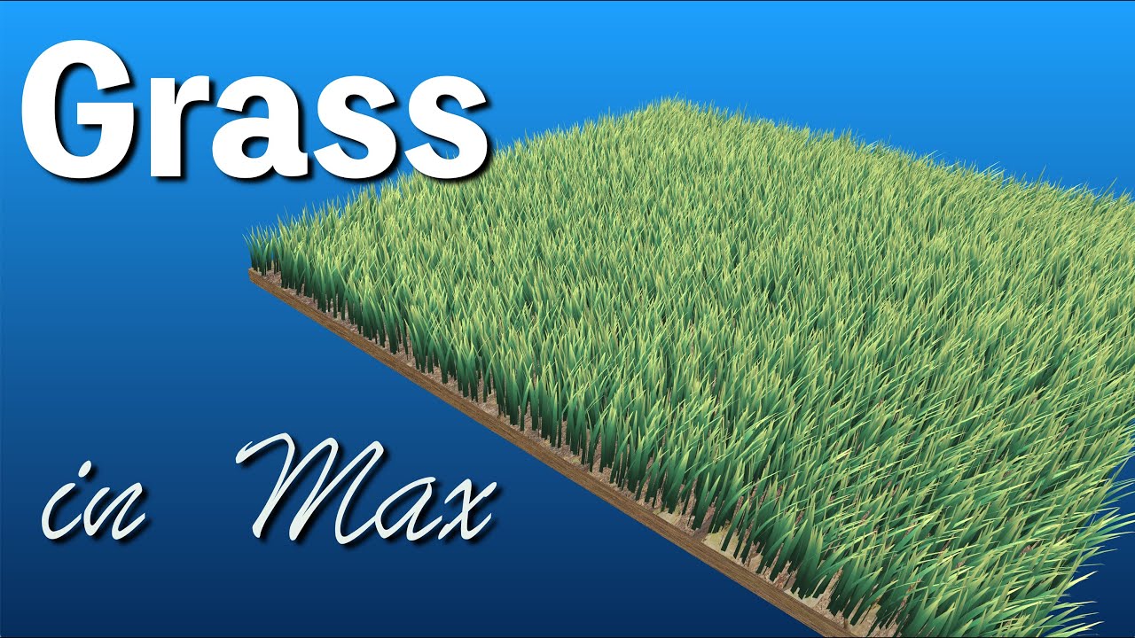 GPU Grass in Max/MSP