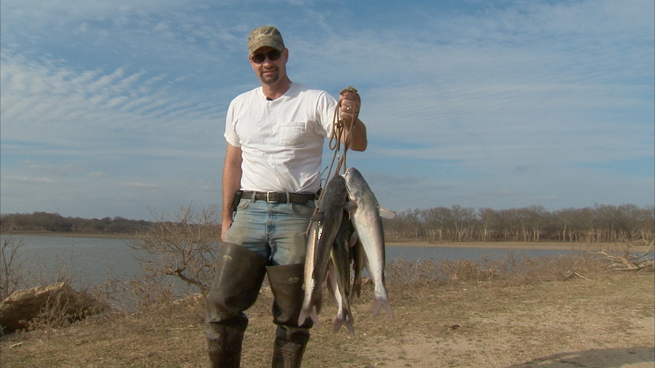 How to bank fish for catfish