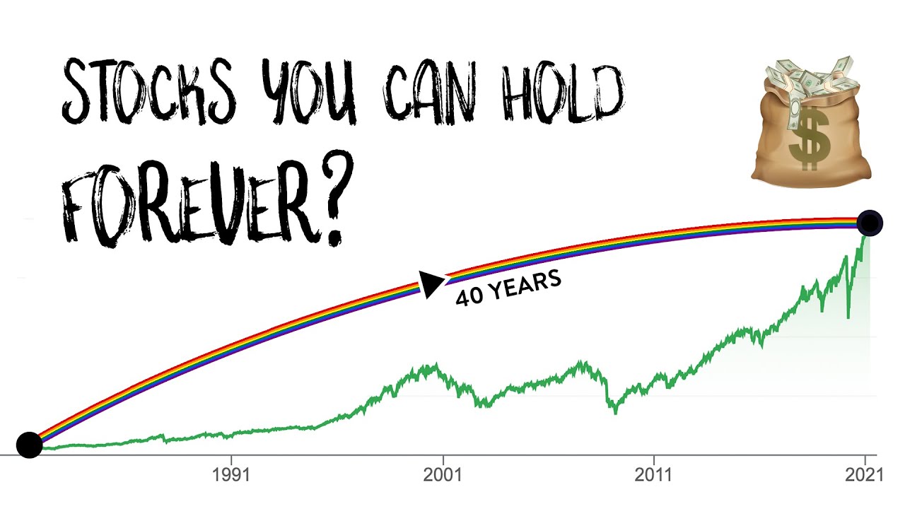Are There Really Stocks You Can Hold FOREVER? (3 Long-term Stocks I Own)