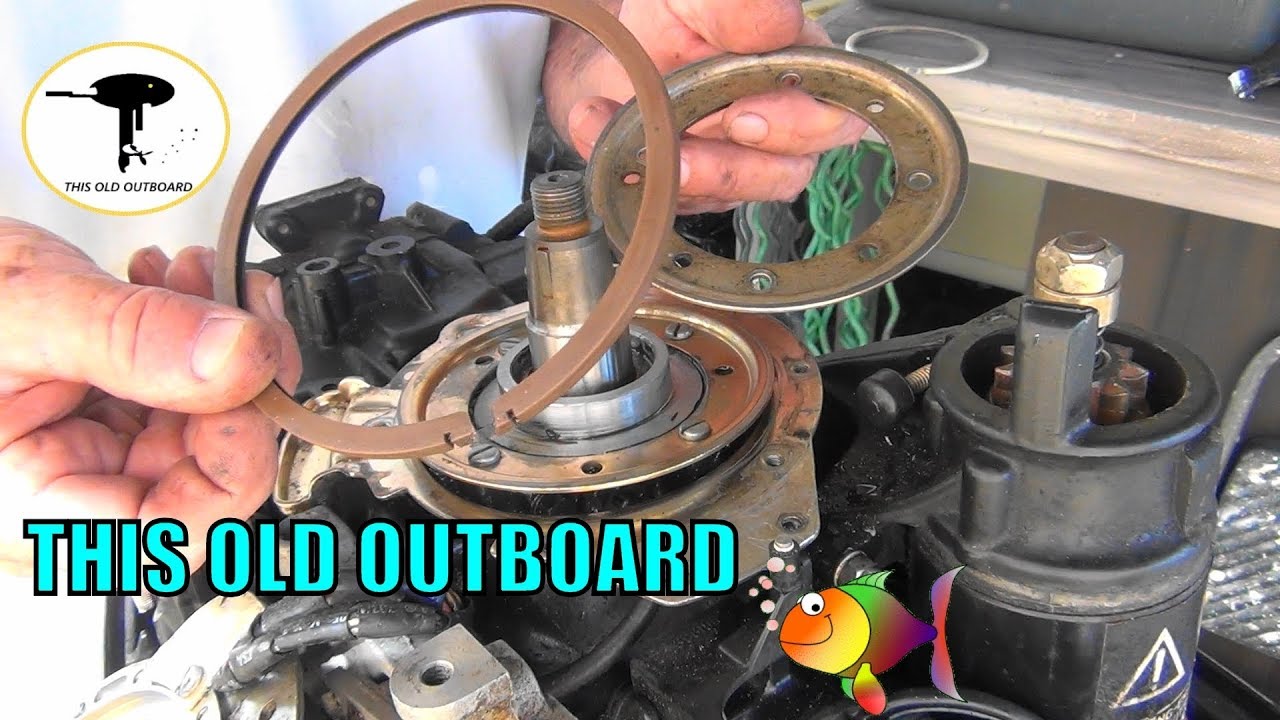 Evinrude 25 Hp Armature Plate, Support, Bearing, Retainer FIX !