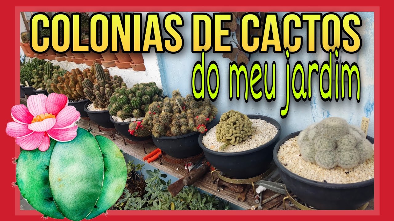 Colônias de 