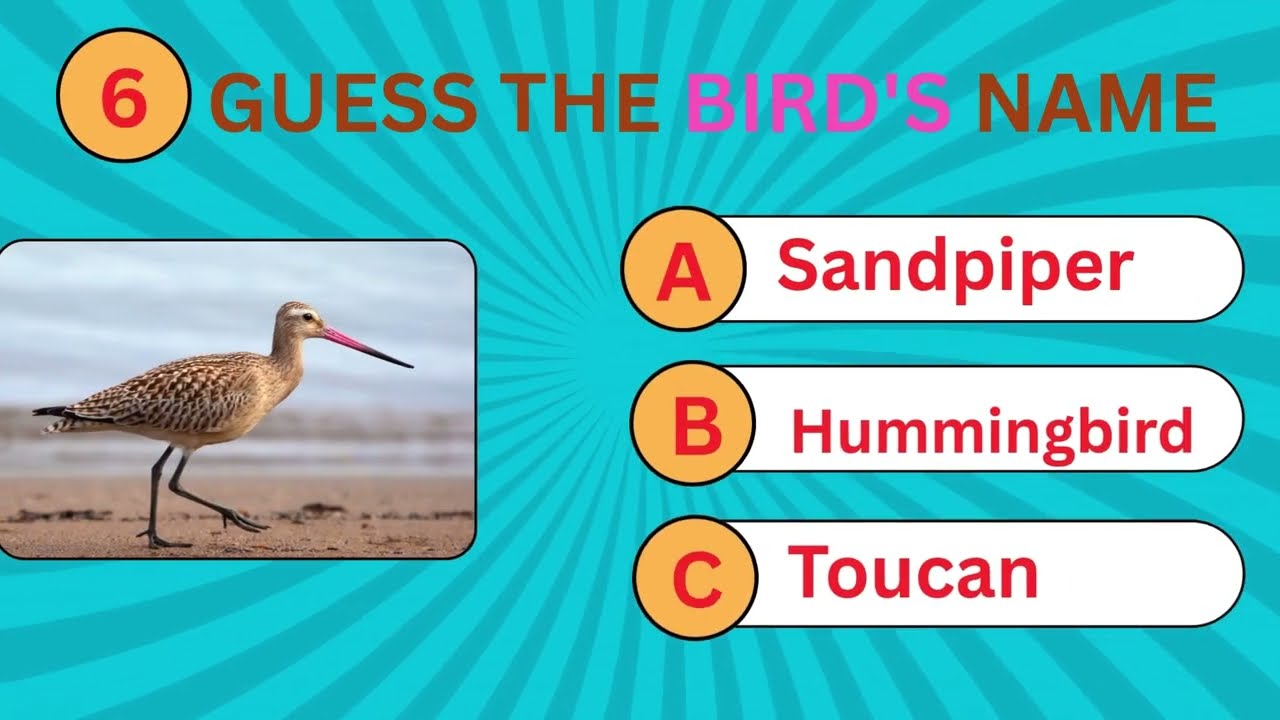 Birds Guessing quiz 2025 /Guess the birds name MCQ/Birds Emoji# Quiz Iq #birds#youtubevideo#gkbirds