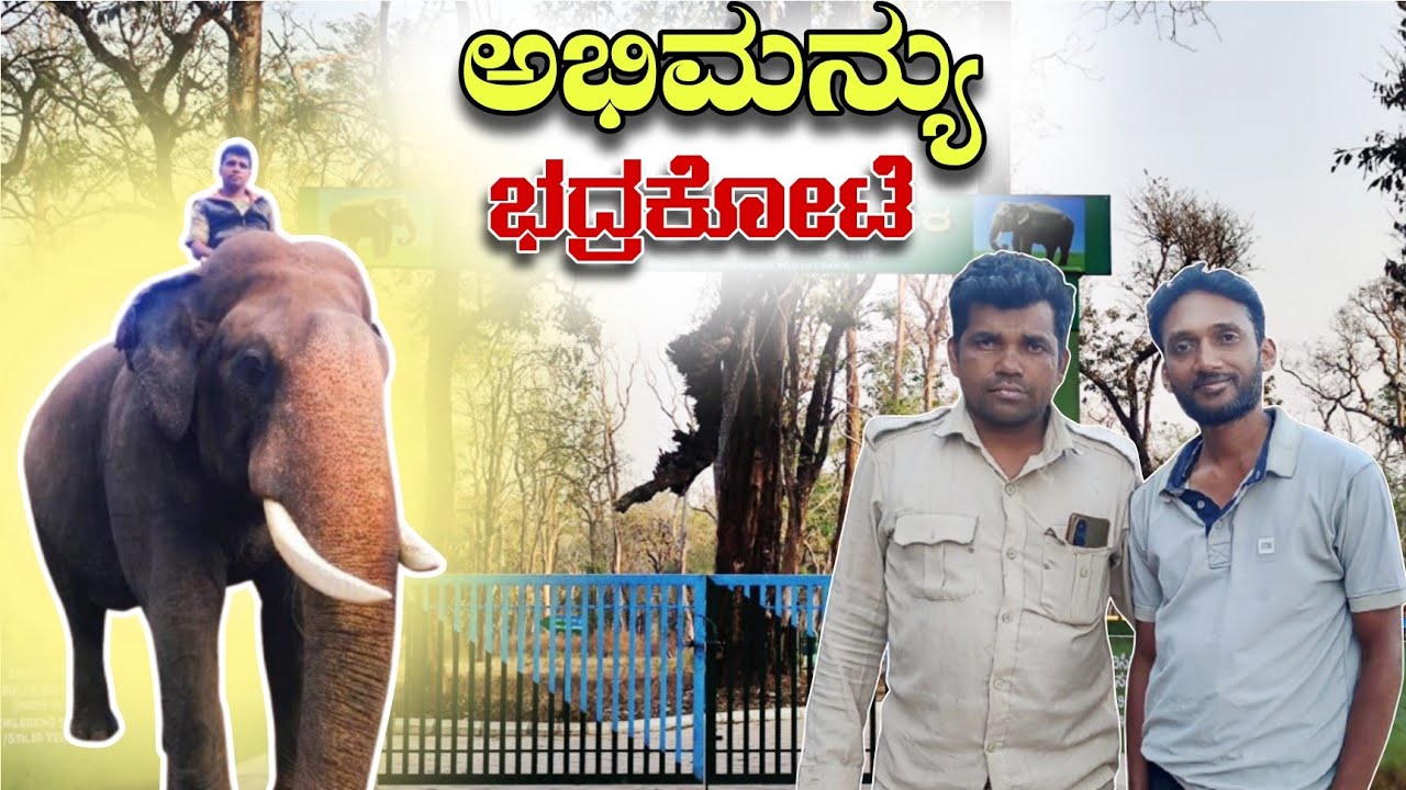 ಅಭಿಮನ್ಯು ಭದ್ರಕೋಟೆ ಮತ್ತಿಗೂಡು ಶಿಬಿರ Abhimanyu fort mathigudu elephant camp