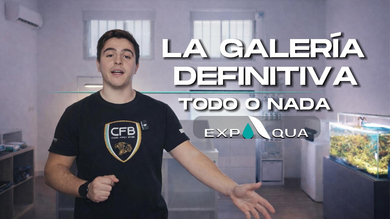 🔥 LA GALERÍA DEFINITIVA | TODO O NADA