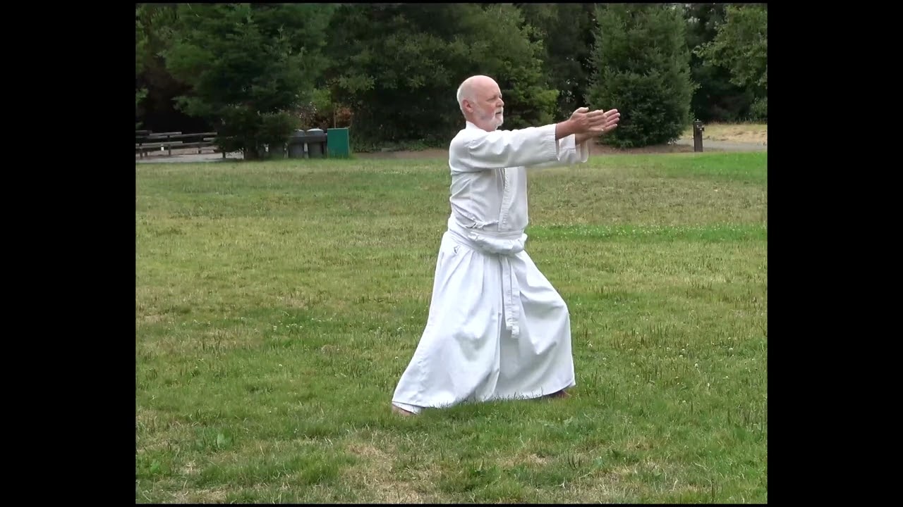 Shintaido Hangetsu Kata