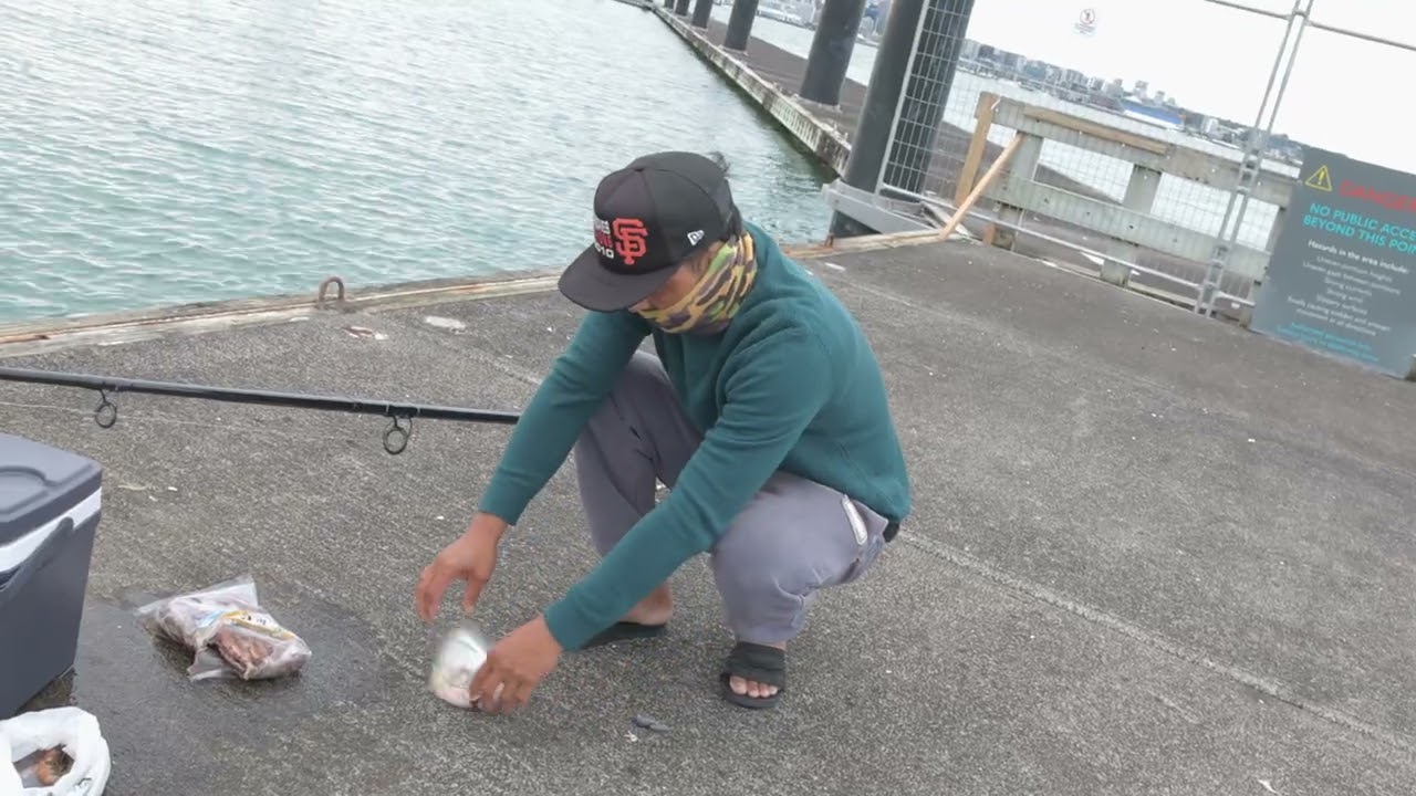 Fishing in Auckland Part. 2