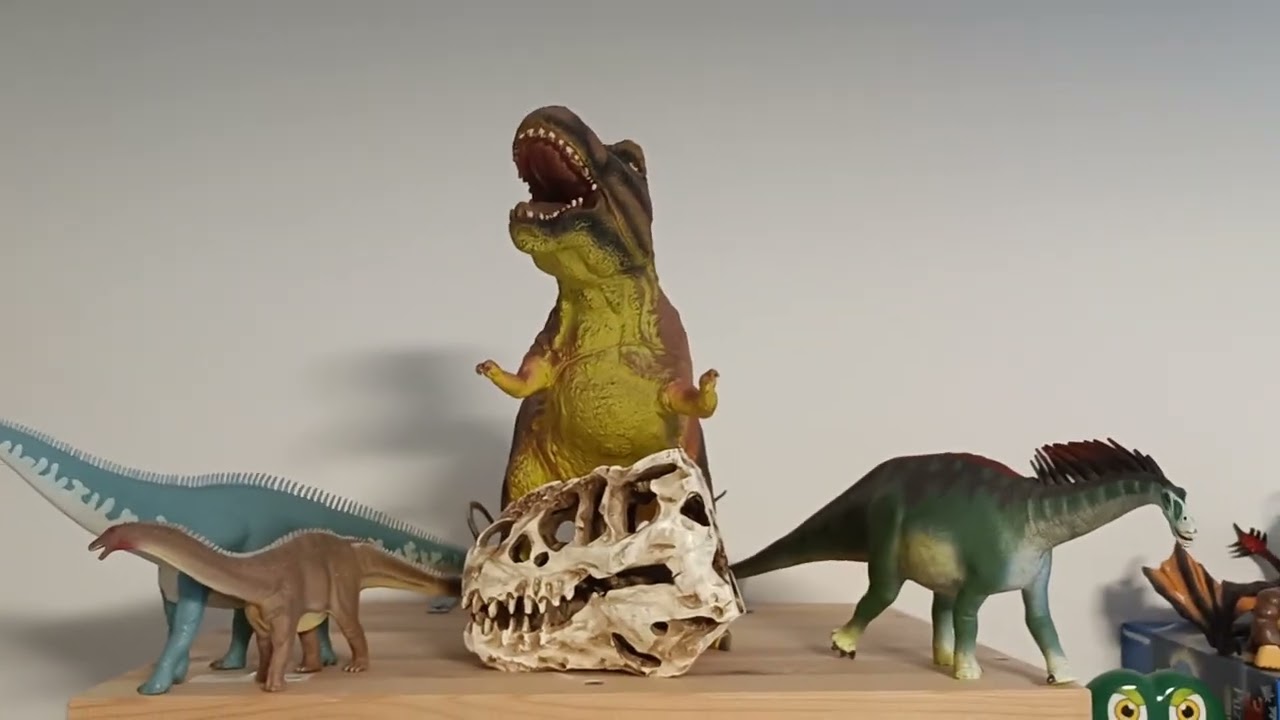 Prehistoric & Modern Animal Shelves 5/24/2022