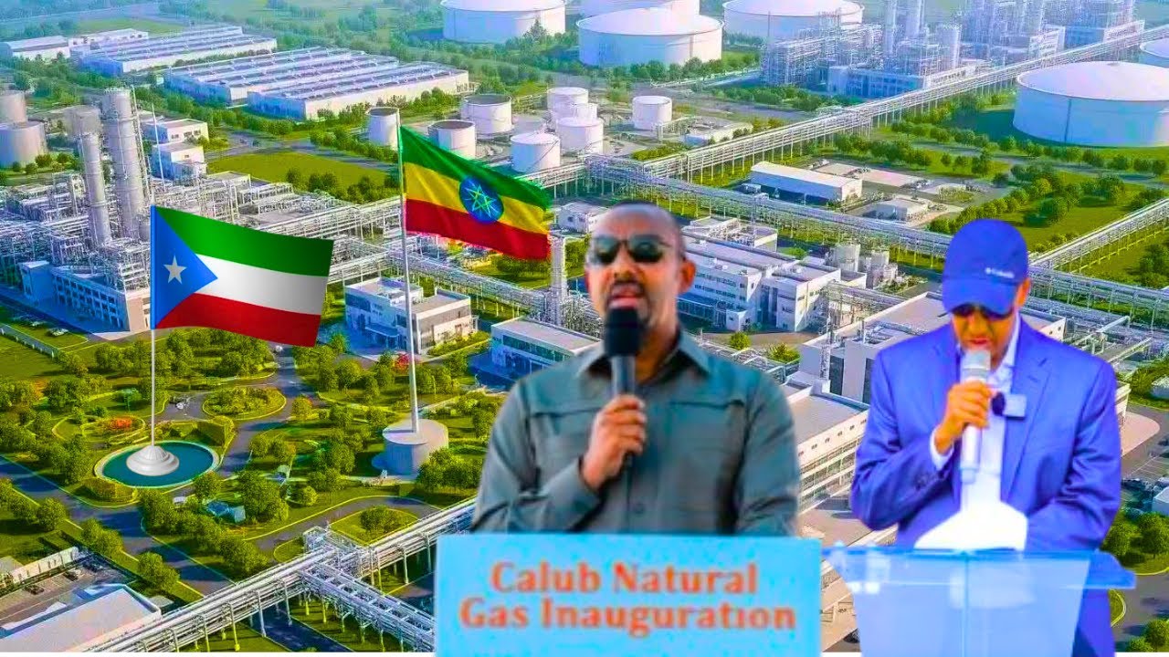 Отчет «Нефтяной кризис в Огадене и как он произошел»