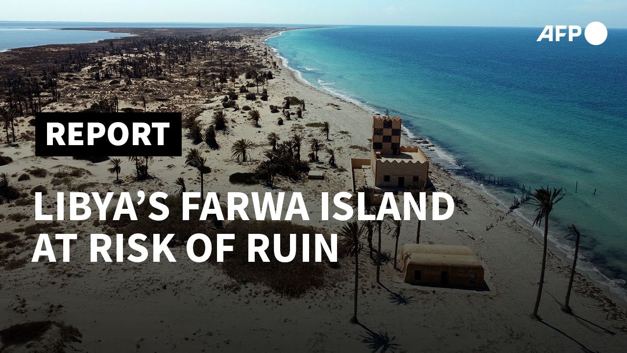 Libya's wildlife treasure island at risk of ruin | AFP
