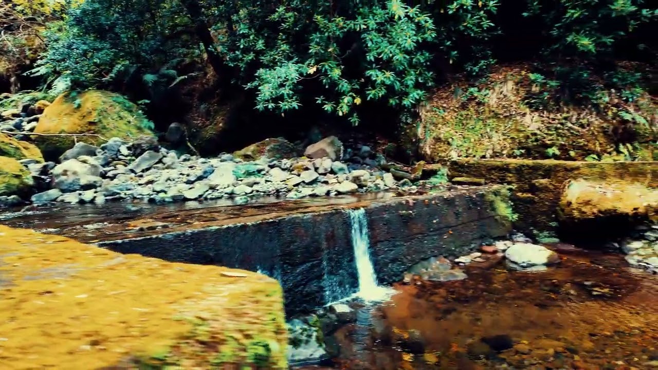 Madeira- walks - Origem  da levada dos Tornos dos lados Boa Aventura