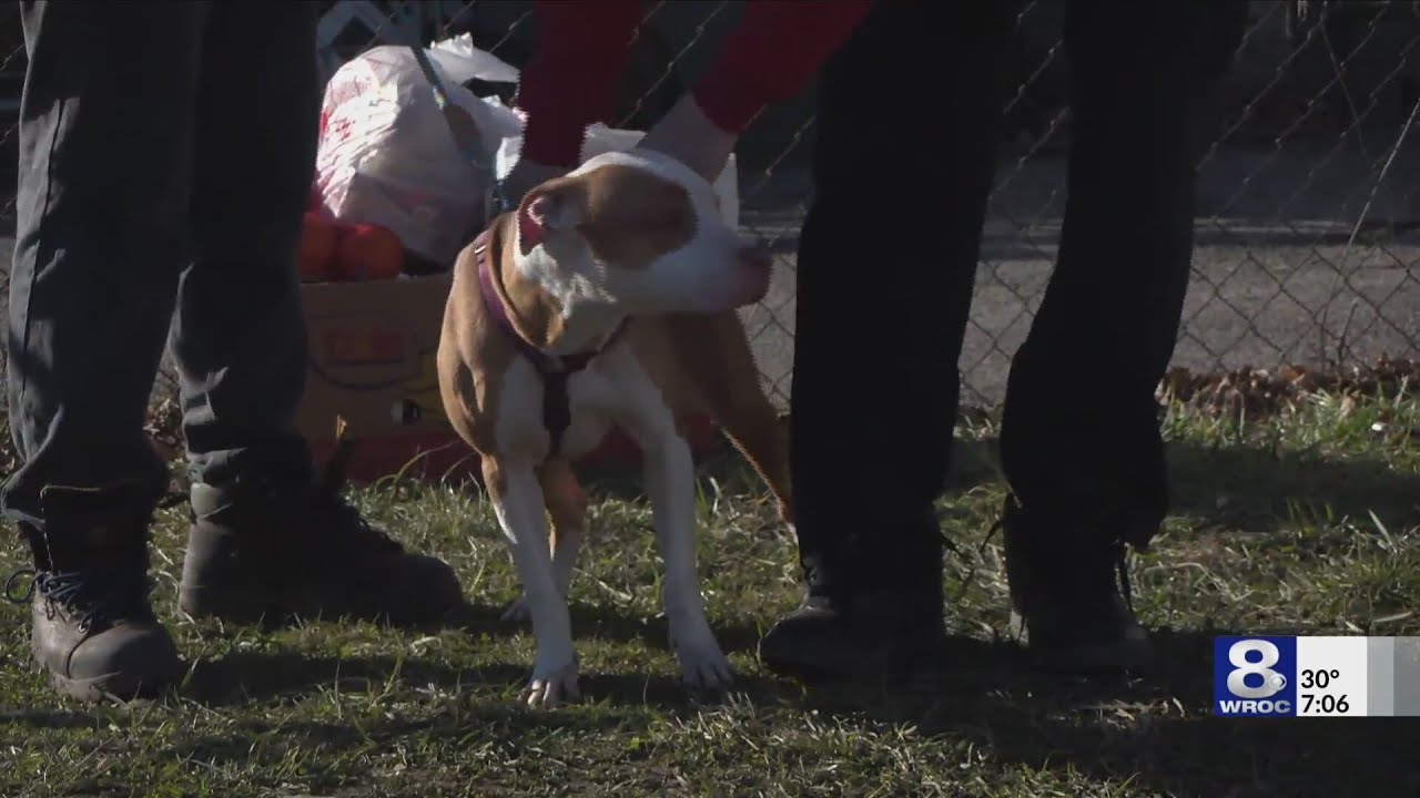The Vineyard Farm announces warming center for houseless pets