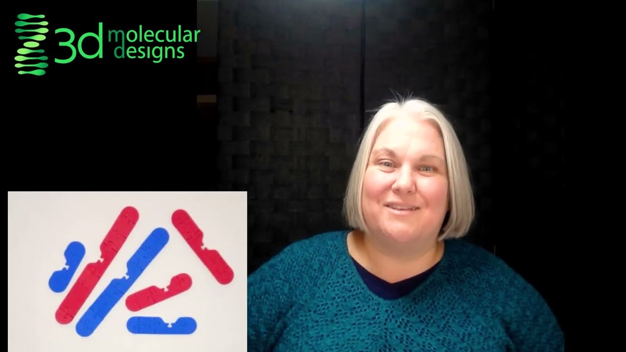 How to Model a Karyotype