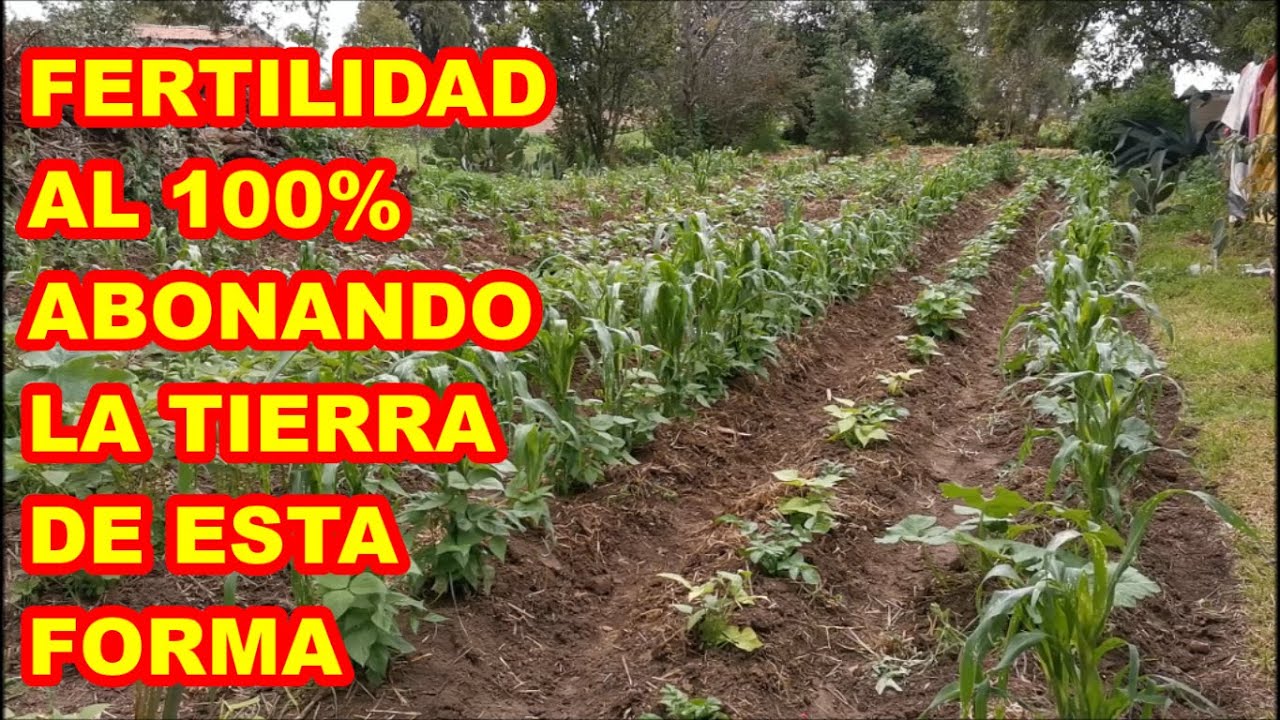 MÁXIMA FERTILIDAD  con esta TÉCNICA DE ABONADO Y TRATO a la tierra ✅✅