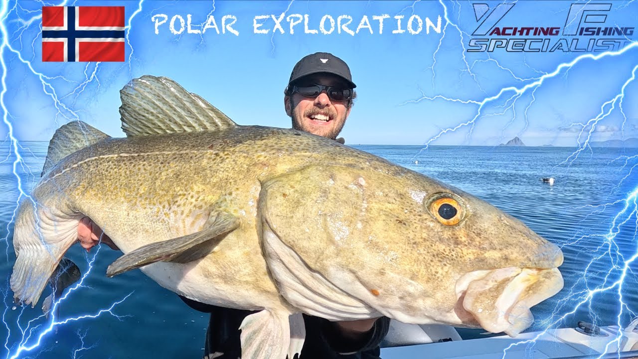 Fishing in Norway &ndash; Monster Cod & Halibut Caught in the Fjords! Catamaran fishing trip Norway by YFS