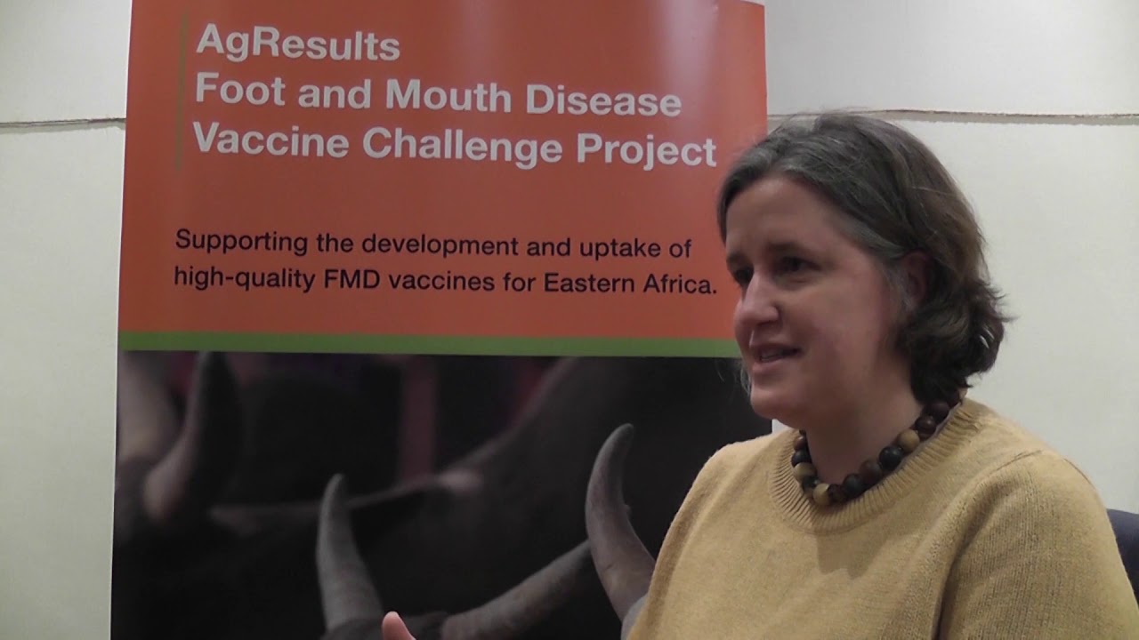 Viewpoints at the AgResults FMD Vaccine Challenge Project launch: Initiative specifics