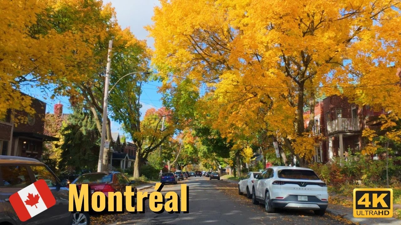 [4K] Peaceful Autumn Drive in NDG, Montreal 🍂| Hidden Gem of the City #hiddengems #autumn #montreal