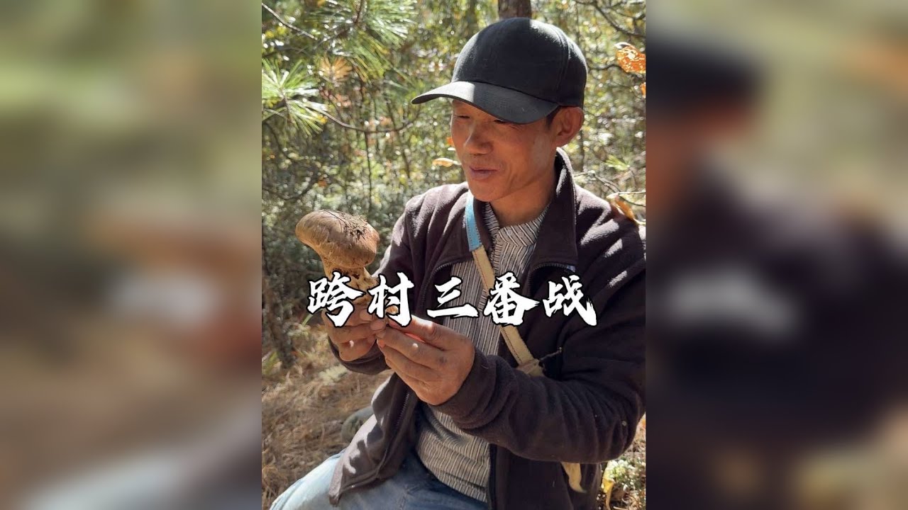 父子第三次去别村山上采松茸，再次收获满满