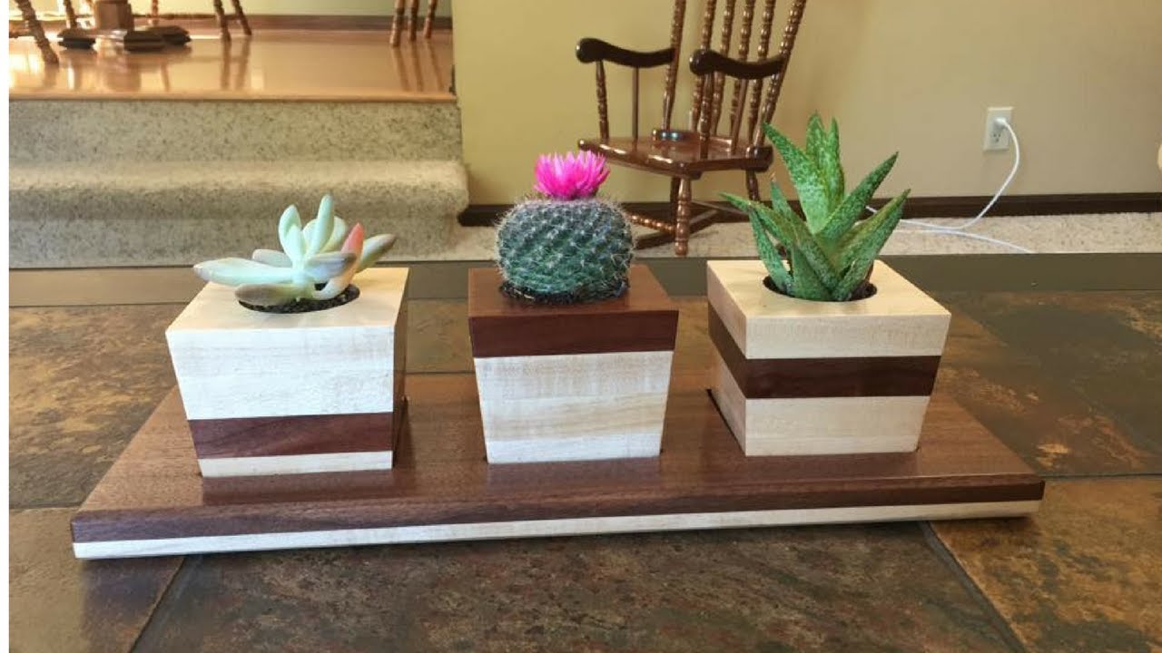 How To Make Succulent Planters with Tray - With The Grain 01