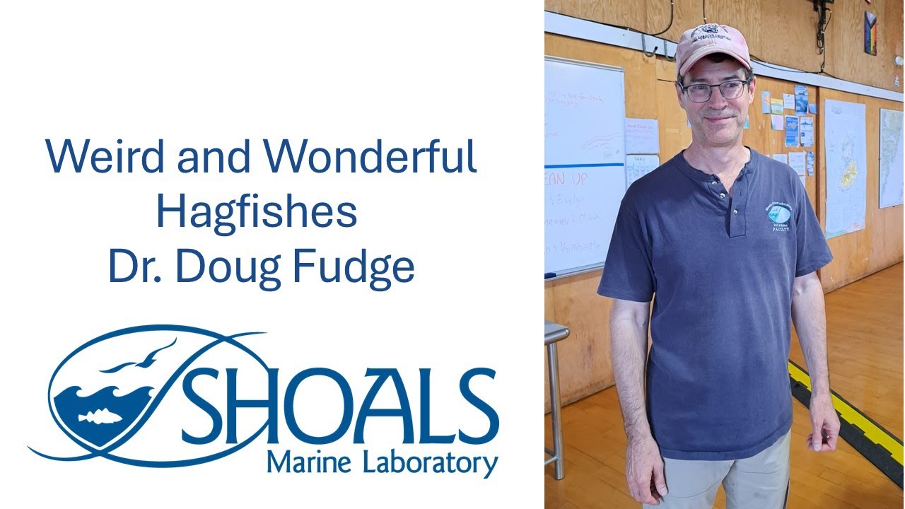 Weird and Wonderful Hagfishes - Dr Doug Fudge
