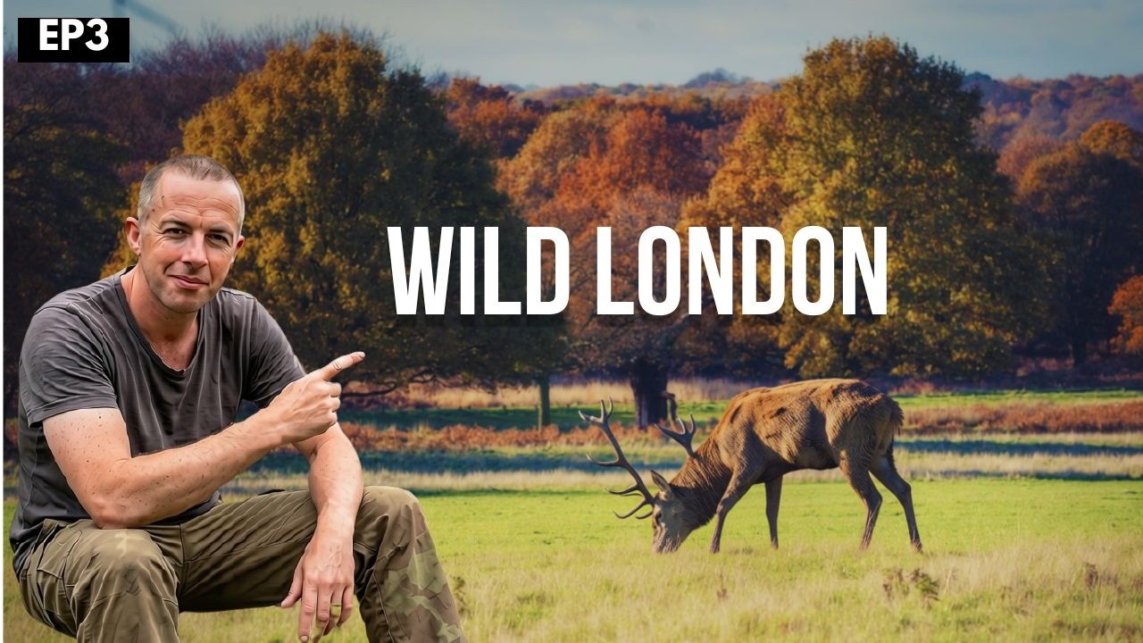 Richmond to Kew Walk | London’s Hidden Paradise on the Thames
