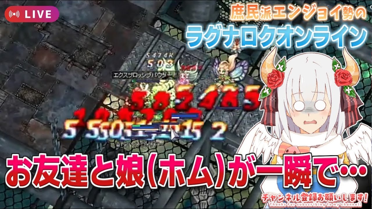 昨夜は何もしなかったのでのんびりROライフ🎤すごい狩りはできません【RO】【ラグナロクオンライン】