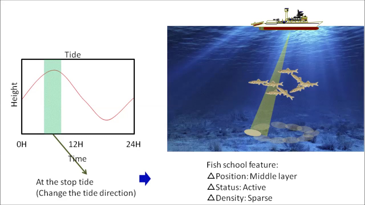 FURUNO CH500/CH600 Fish Movement
