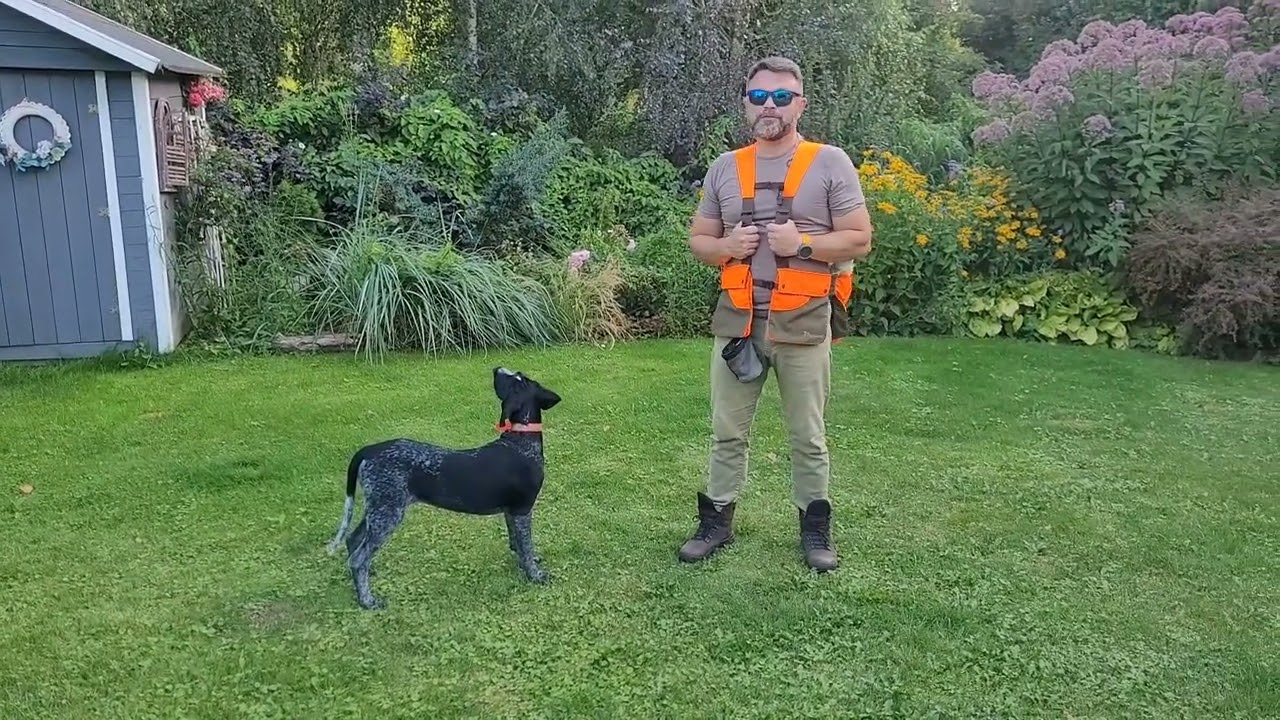 Odc.22. Aport - podstawowe ćwiczenia , włóczka , polowanie na kaczki - przygotowanie psa