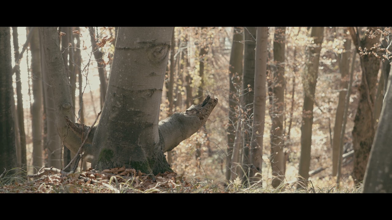 BMPCC 6K PRO - test footage (RAW)