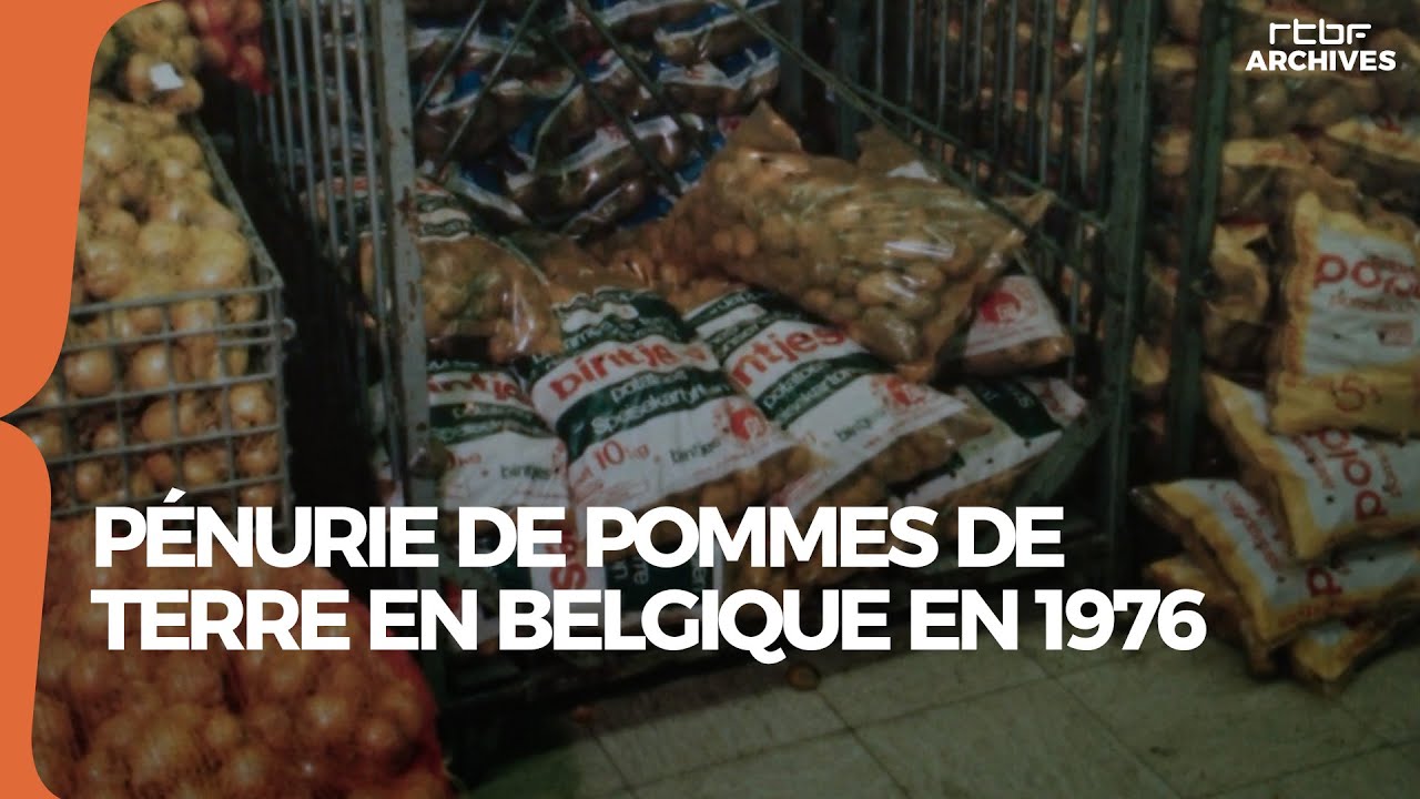 Pénurie de pommes de terre en Belgique en 1976 - RTBF archives