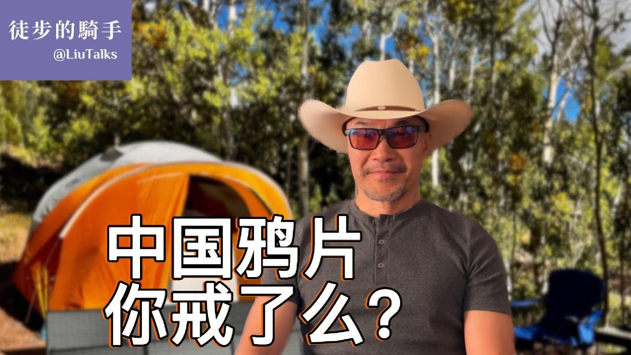 #106 中文知识分子的鸦片｜“我在哪里，哪里就是中国”｜余英时的风骨与许倬云的媚世｜你的人格，决定你爱什么样的国家｜