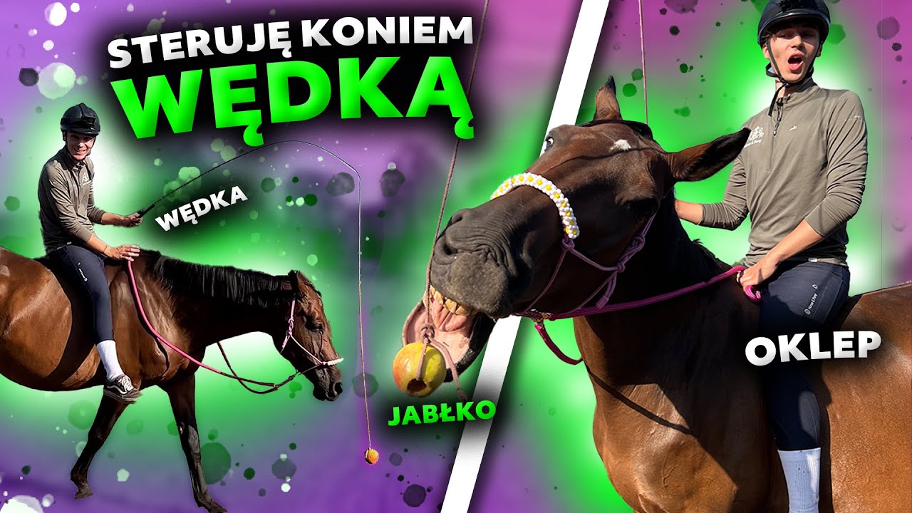 TEREN NA OKLEP | Jak  🍎STEROWAĆ🍏  koniem!