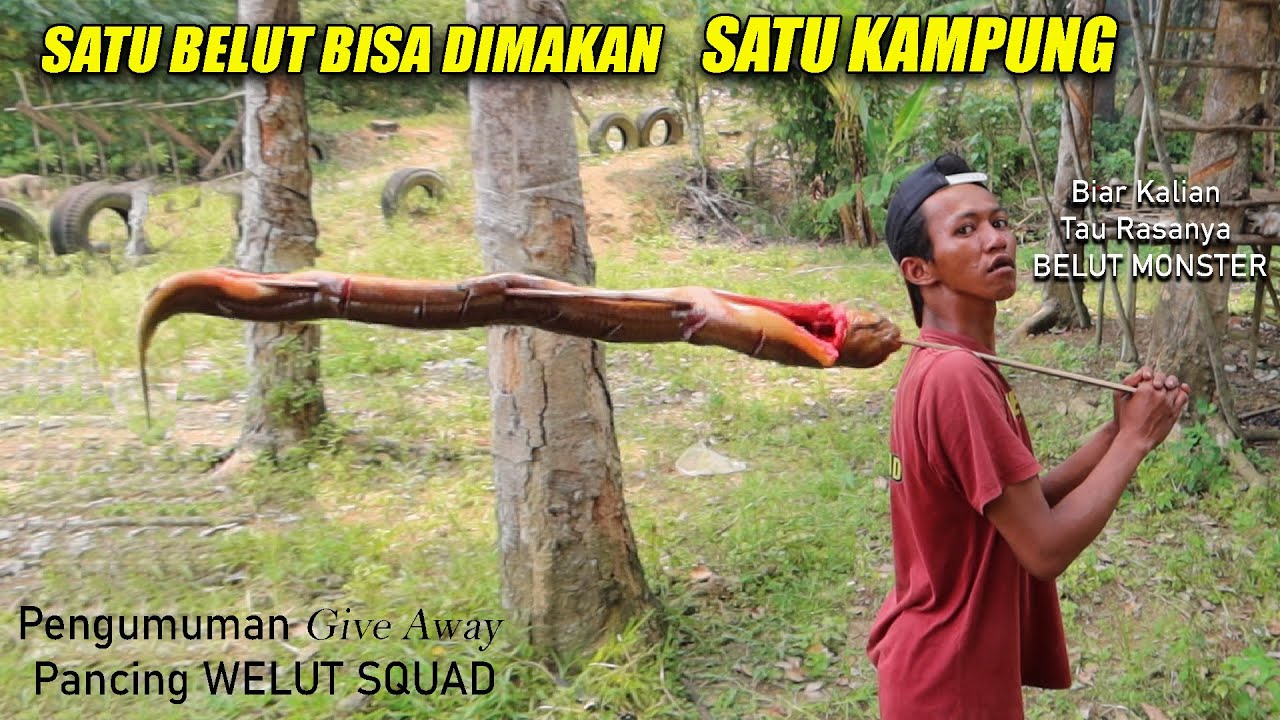 RASANYA GAK KARUAN !! MUKBANG BELUT TERMONSTER ABAD INI