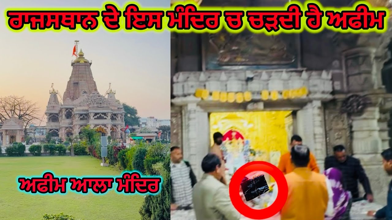 ਰਾਜਸਥਾਨ ਦੇ ਇਸ ਮੰਦਿਰ ਚ ਚੜਦੀ ਹੈ ਅਫੀਮ & ਅਫੀਮ ਆਲਾ ਮੰਦਿਰ Sawariya Seth Mandir | SawariyaSeth Temple 