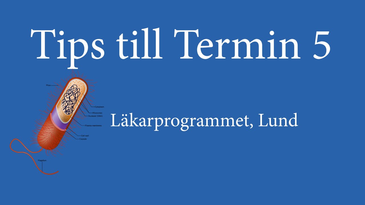 Tips till Termin 5 | Läkarstudent i Lund