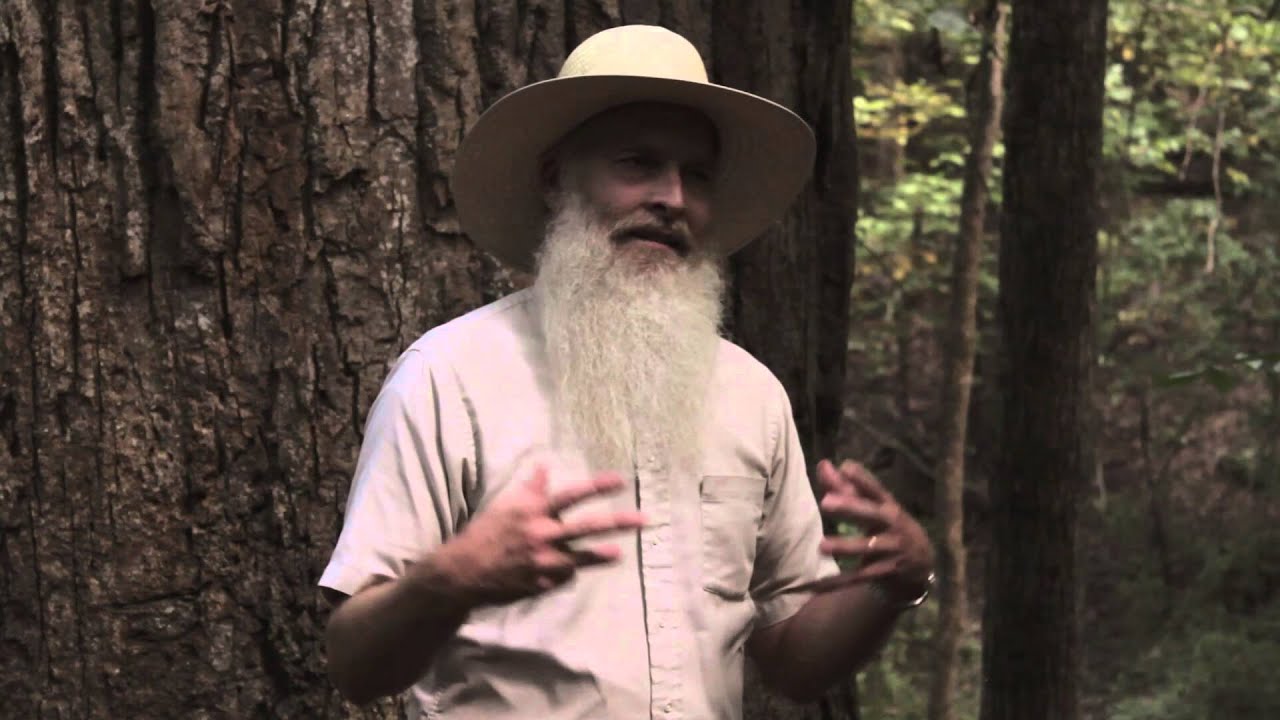 Max Carter on the importance of silence in Quaker faith