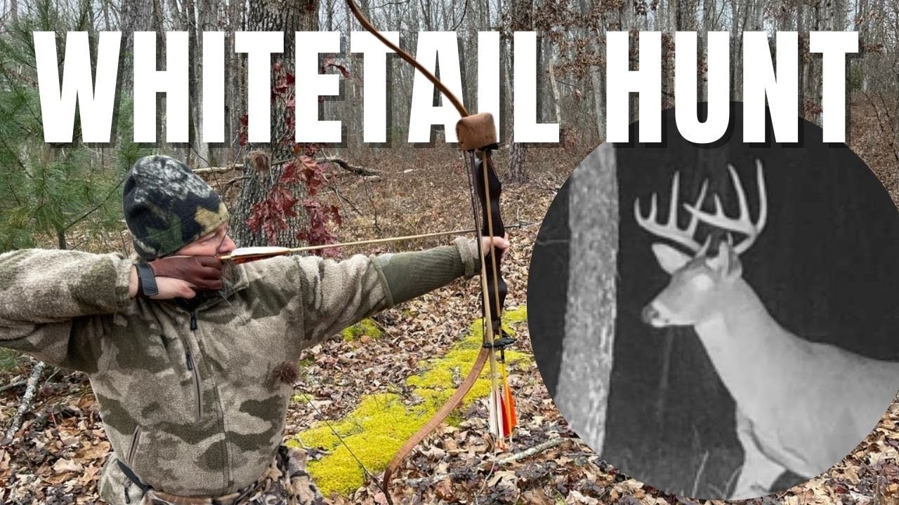 Scouting and Hunting for Whitetails with Traditional Archery Gear