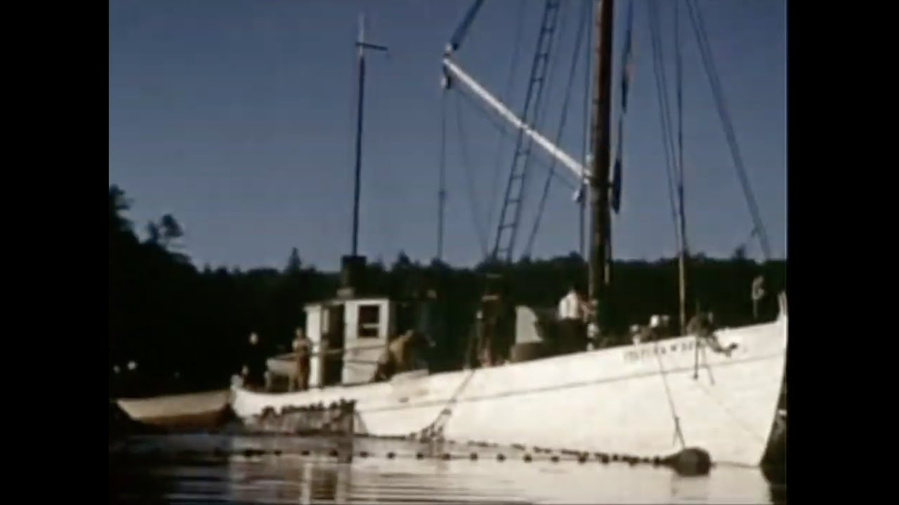 South Bristol, Maine Fishing 1950s - Lobster Trap Haul & Seine Netting aboard Sylvina W Beal