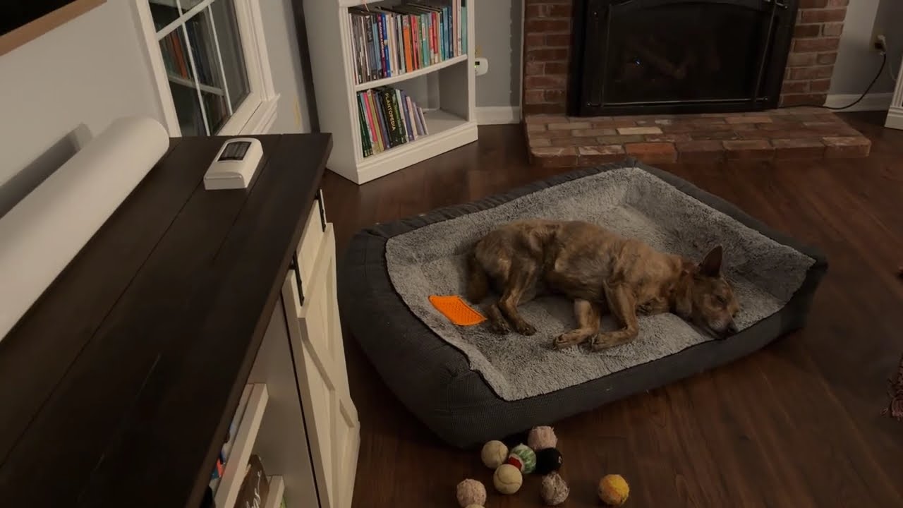 Insta Flow 2 HELP me