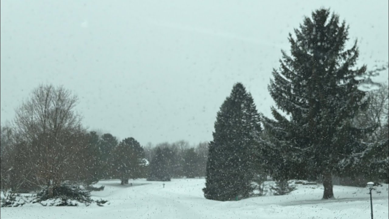 Driving in a snowy neighbourhood,Michigan USA 🇺🇸 #snow #usa  #winter r