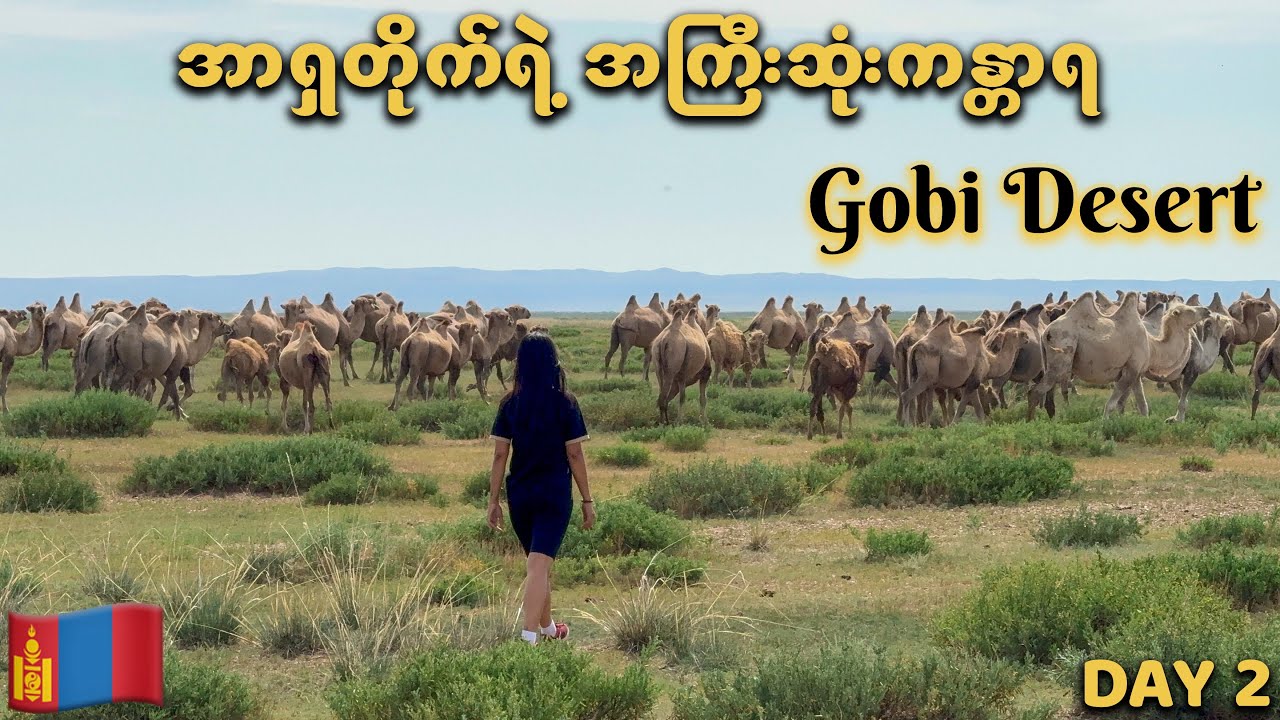 Day 2: Entering the Gobi Desert | Mongolia Road Trip 🇲🇳
