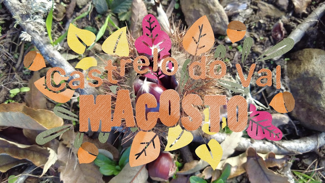 Magosto en Castrelo do Val