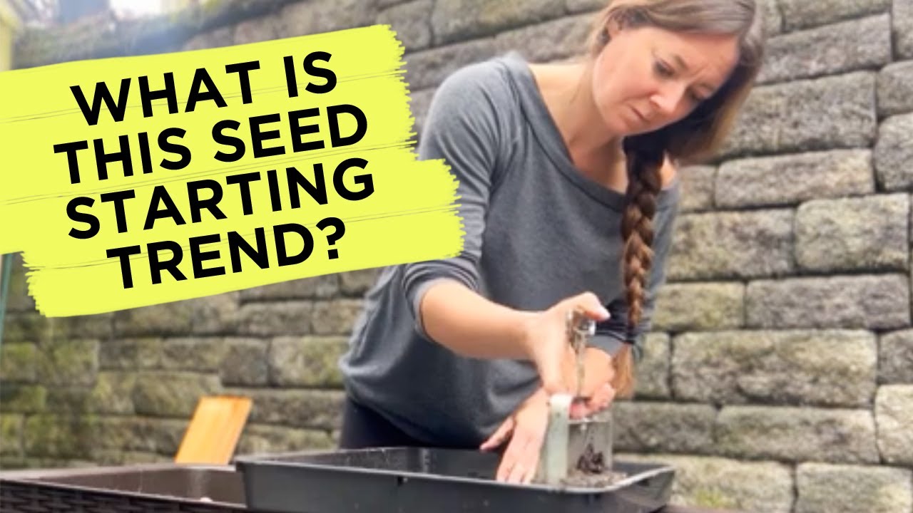 What's the hype about soil blocking? How to sow or start seeds with soil blocks.