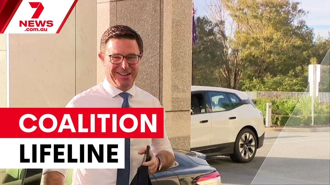 Pauline Hanson offers One Nation support to Coalition | 7NEWS