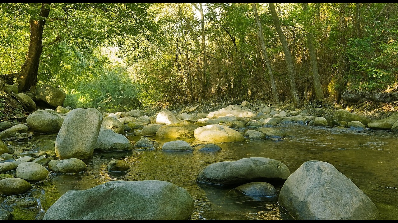 Mountain River & Forest Birds | 3 Hours of Gentle Nature Sounds for Sleep, Focus & Meditation