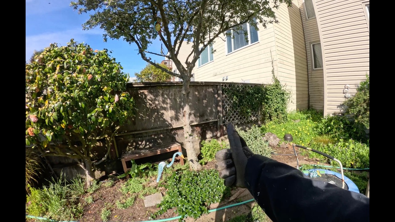 San Francisco POV Gardening