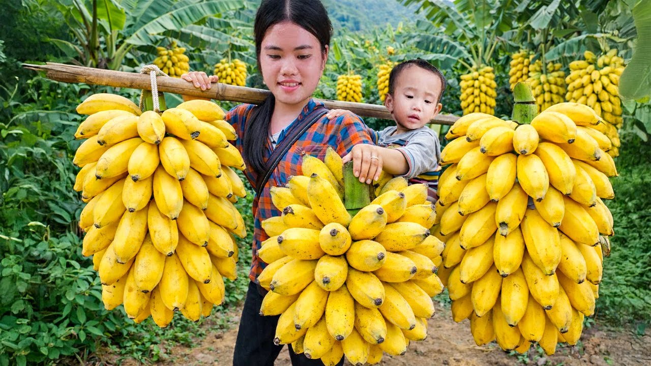 Traditional Method of Ripening Bananas for Sale at the Market | Trieu Thi Thuy