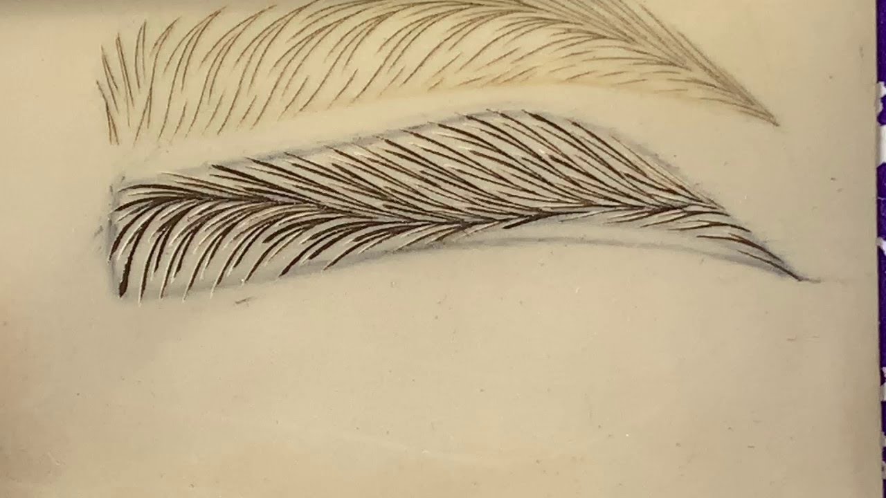 ESPINAS EN EL MICROBLADING, CLUB DE PRACTICA DIMECHS, CLASE GRATUITA DE LA SEMANA. RAYMOND MENDEZ