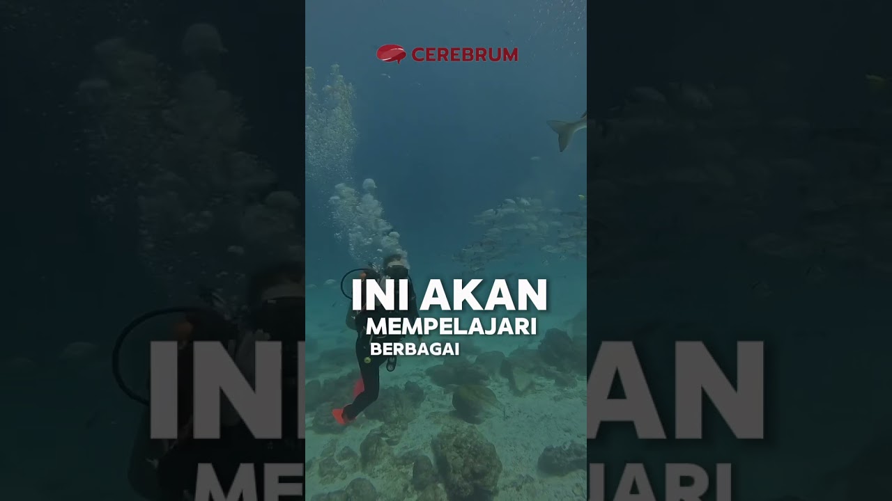 Jurusan Ilmu Kelautan - Cerebrum