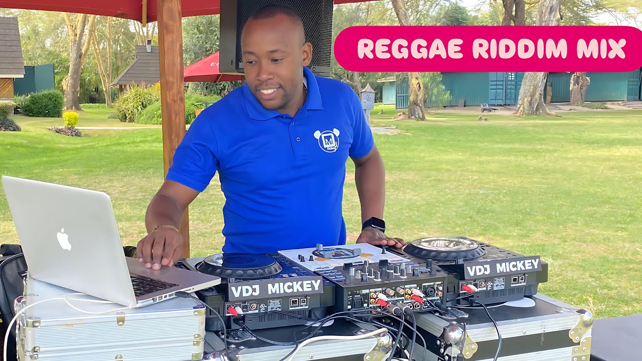 Reggae Riddim Mix 2025 with VDJ Mickey | Busy signal, Konshens, Demarco, Cecile #dj #mix