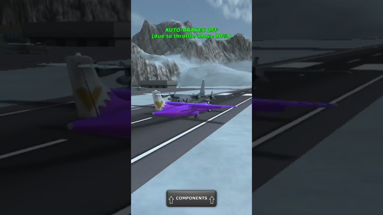 Ego air crashes into C130